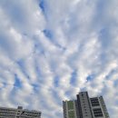 한선희 낙지명가 이미지