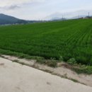 교동면-2 이미지