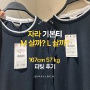 반팔 M사이즈 고른 이유 (vs L 비교)와 2달 입어본 후기, 얼만큼 늘어날까? 보풀 정도는? 자라 세일...