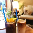 성신카 | 내돈내산 성신여대 카페 식물정원 성신옥 오렌지커피라떼 강추