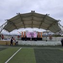 자유음향