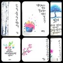 플러스펜 수채 캘리 이미지