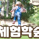 숲에온