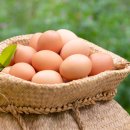 유정약품 이미지