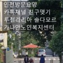 루첼라리아 이미지