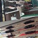 스노우밸리 이미지