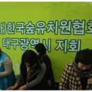 보고유치원 이미지