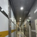 유럽식 반려견 교육 &lt;독스네이처&gt;에서 댕댕이 불안감 교육 받아본 후기