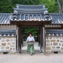 백만잔의차