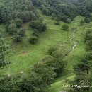 하늘마루염소목장 이미지