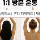 널스홈핏