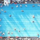 방어축제거리 이미지