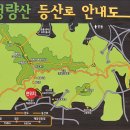 청량산 임도1 이미지