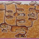 주공이발관 이미지