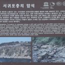 제주 서귀포층 패류화석 산지 이미지