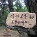 자연인mtb 7월 19일 오룡산 싱글 이미지