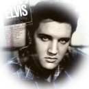 Can't Help Falling In Love - Elvis Presley 이미지