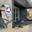 근남주유소 이미지