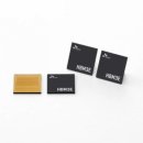 개미종합상사 이미지