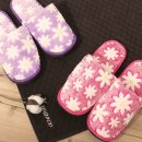 포그니코리아 이미지