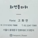 자연가습 이끼 테라리엄 이미지