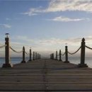 신장동물병원 이미지