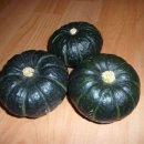 한마음 농장 이미지