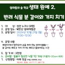 10.21(월)엄마들의 숲학교 생태원예2 (반려식물 분갈이와 가지치기)_오전11시30분_성인 대상 이미지