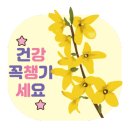 우리손세차장 이미지