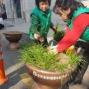 용산1동주민센터 이미지