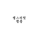 셀스피릿