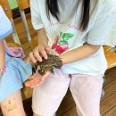 비석농장 이미지