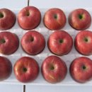 고덕면011 이미지