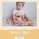생각이 자라나는 그림책놀이 | 돌아기 언어발달 책놀이 블루래빗 가성비전집