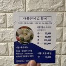어풍선어 & 활어