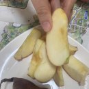 비탈길굽이돌아 | 영월 전망좋은 숙소 비탈길굽이돌아 숙박후기