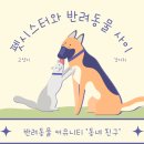 펫 친구 이미지