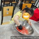 (주)금산환경 | 농촌체험마을-금산 조팝꽃피는마을