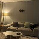 빅파인트리하우스 이미지