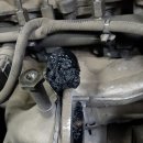 카포스자동차병원 이미지