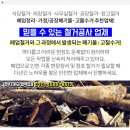 남양금정가정