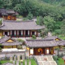 서울시 강서구 특산물, 축제, 그리고 문화유산