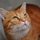 파주24시동물병원 이미지