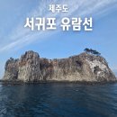 유람선 | 서귀포 유람선 후기 할인 예약 방법 명당자리까지 총정리