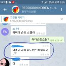 한국 레드코인 텔레방... 이미지