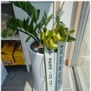 정성세무회계 - 성남시 분당구 성남대로916번길 20 | 정성세무회계