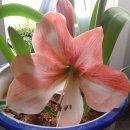 그린레코드 이미지