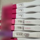 디오쓰리 | 출산 후 톺아보는 임신 기록 - 1. 임신 준비 그리고 확인, 분만병원 정하기