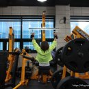 헬스를 배우다! 포비스클럽 이미지