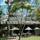 동암중학교 | 의정부 대형카페 모드닉(Modgnik) 방문기 | 숲속 정원 뷰와 브런치 맛집 리뷰